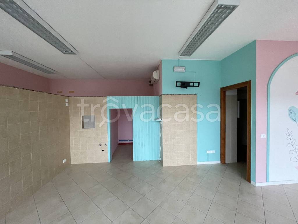 immagine annuncio 2 di 7