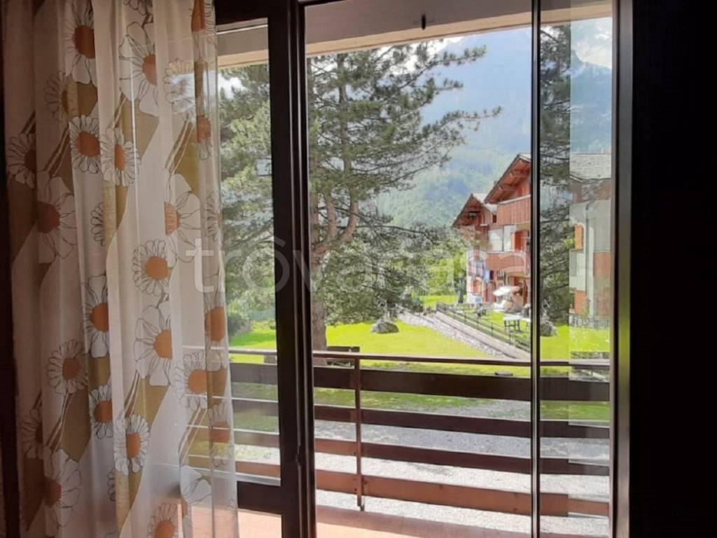 immagine annuncio 4 di 14