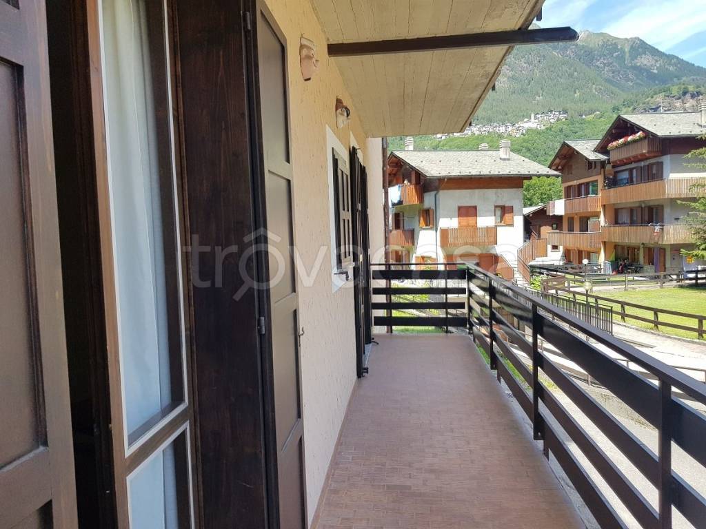 immagine annuncio 5 di 14