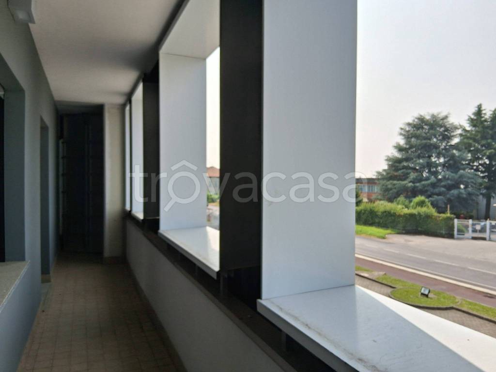 immagine annuncio 6 di 12