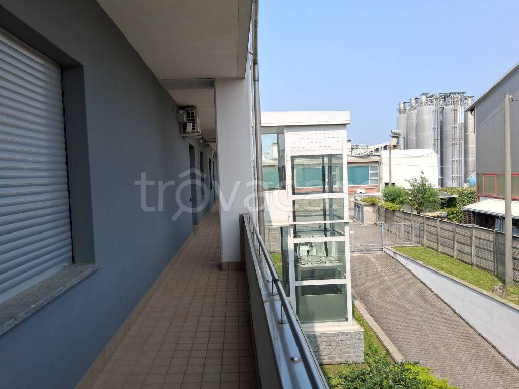 immagine annuncio 10 di 12