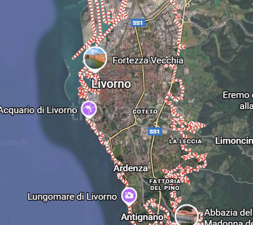 immagine annuncio 3 di 9