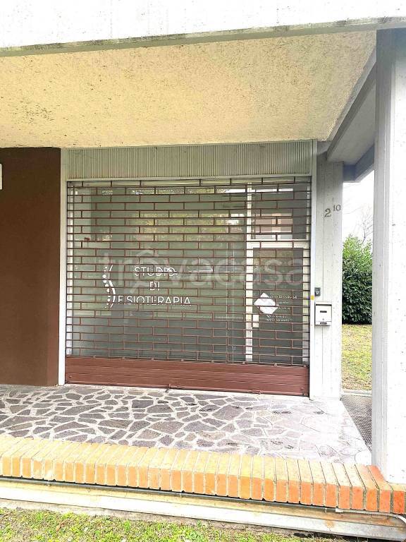 immagine annuncio 3 di 13