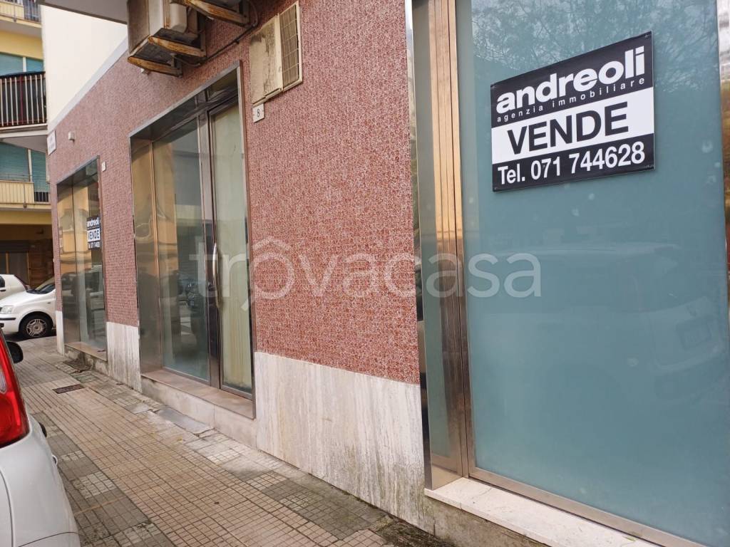 immagine annuncio 8 di 10