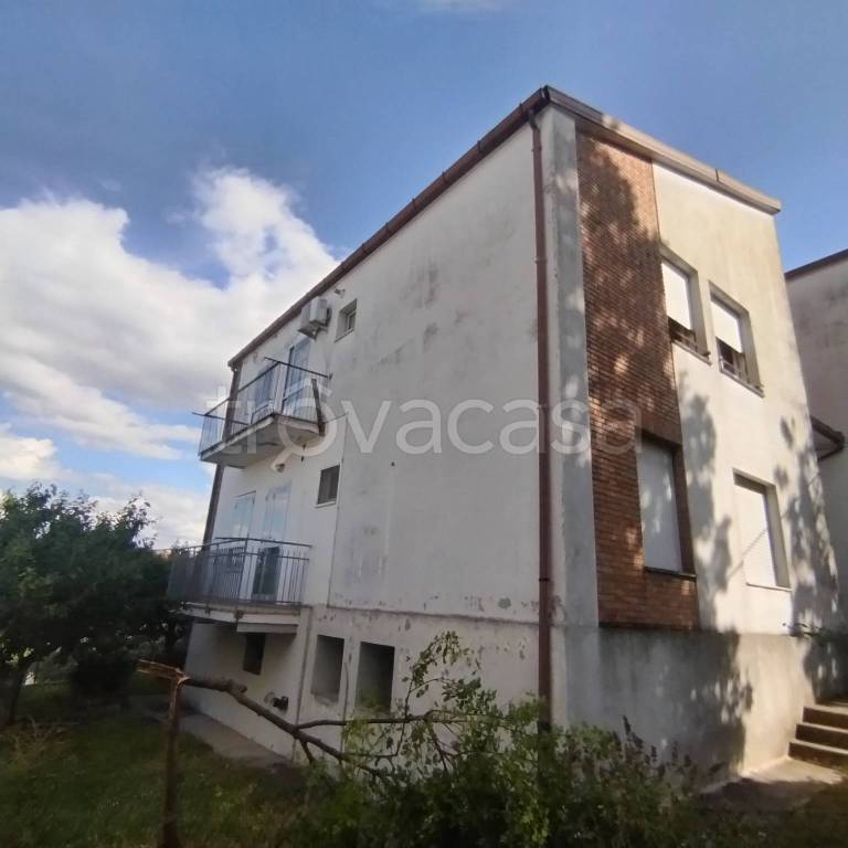 immagine annuncio 7 di 14