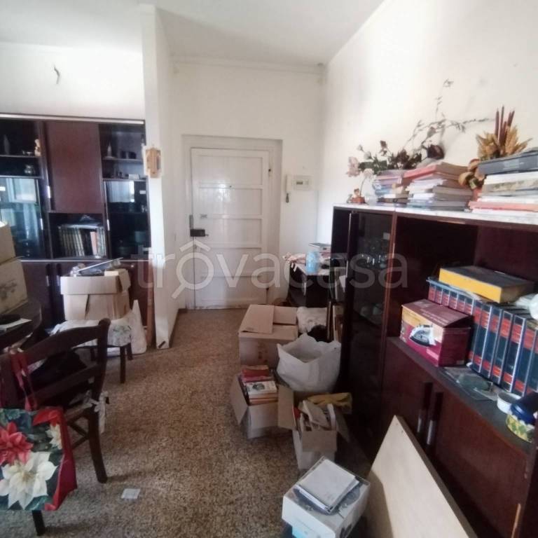 immagine annuncio 9 di 14