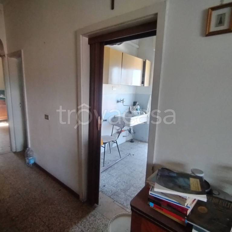 immagine annuncio 10 di 14