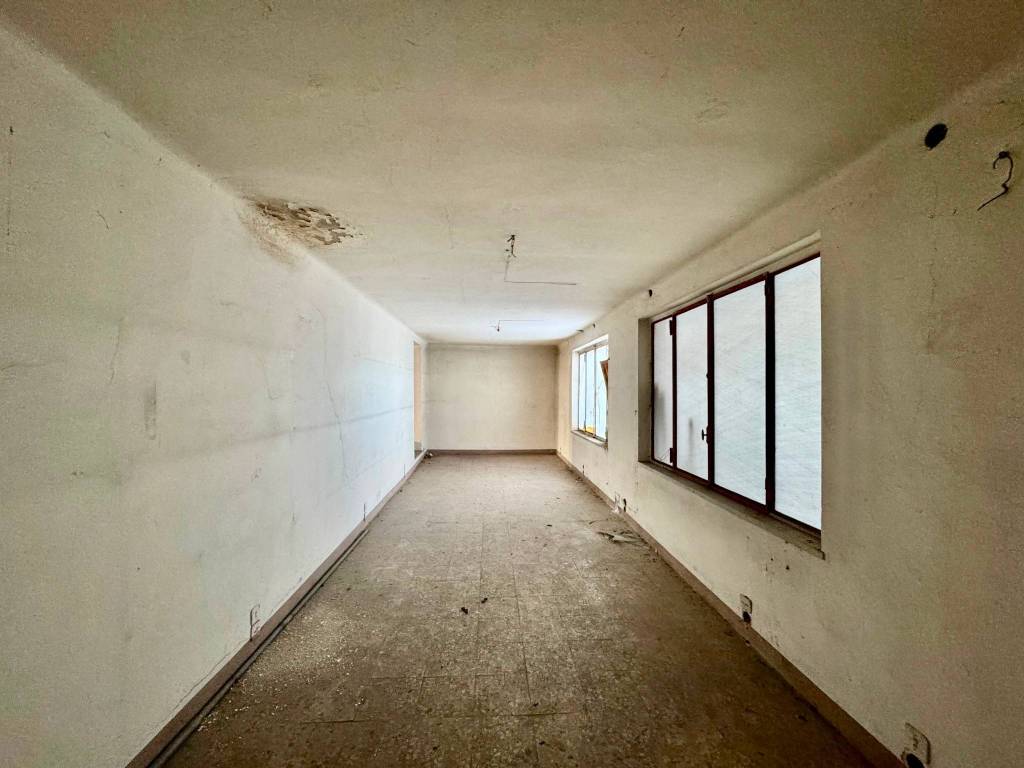 immagine annuncio 5 di 14