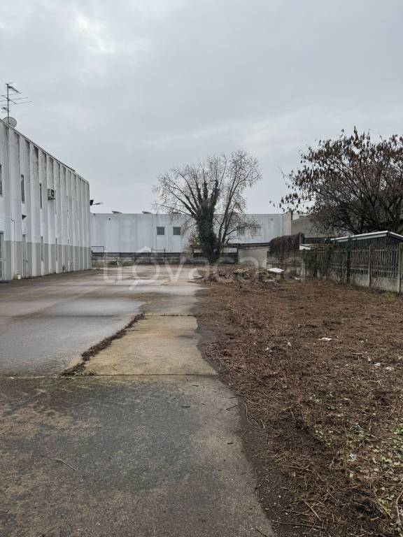 immagine annuncio 3 di 13