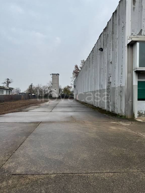 immagine annuncio 4 di 13