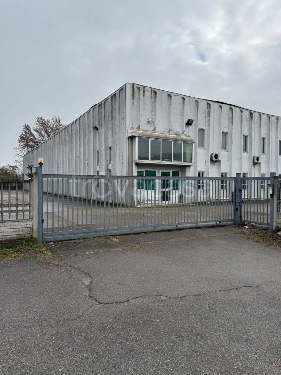 immagine annuncio 10 di 13