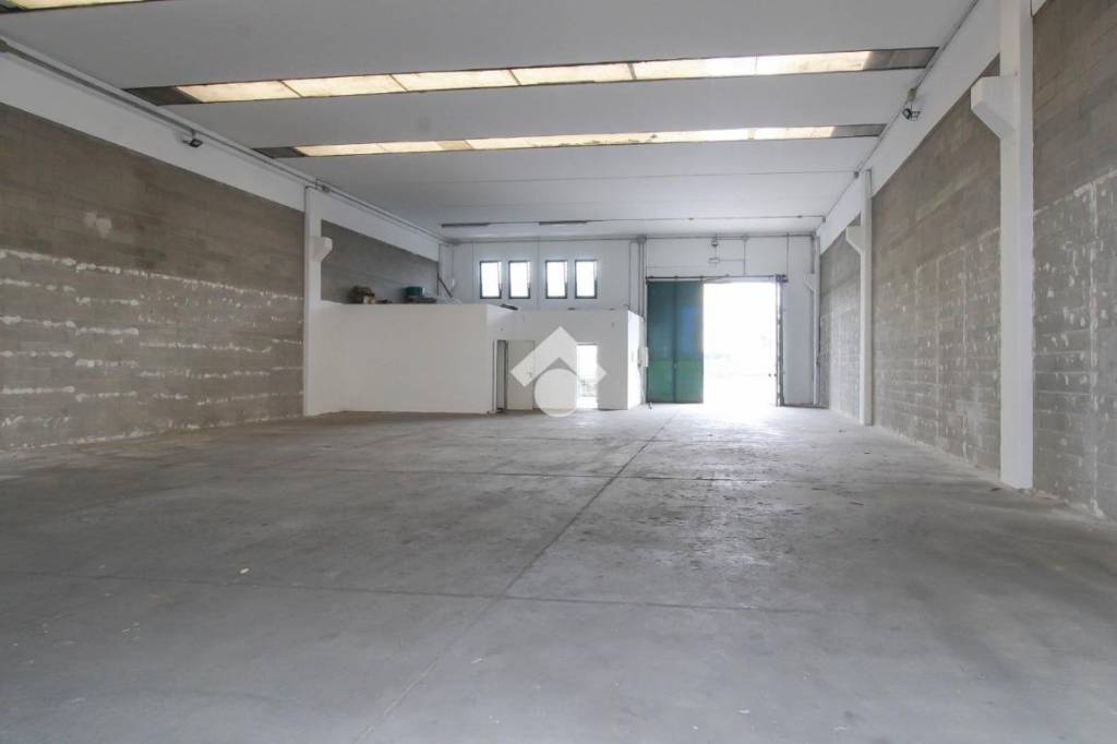 immagine annuncio 4 di 13