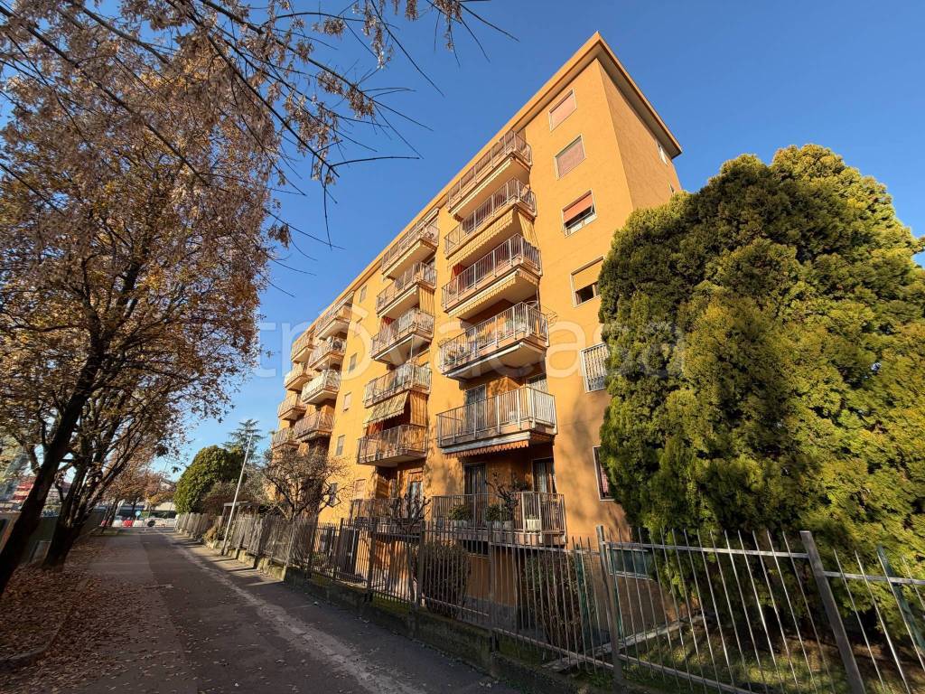 immagine annuncio 13 di 14