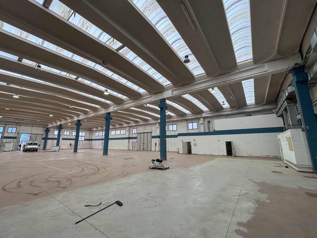 immagine annuncio 5 di 15