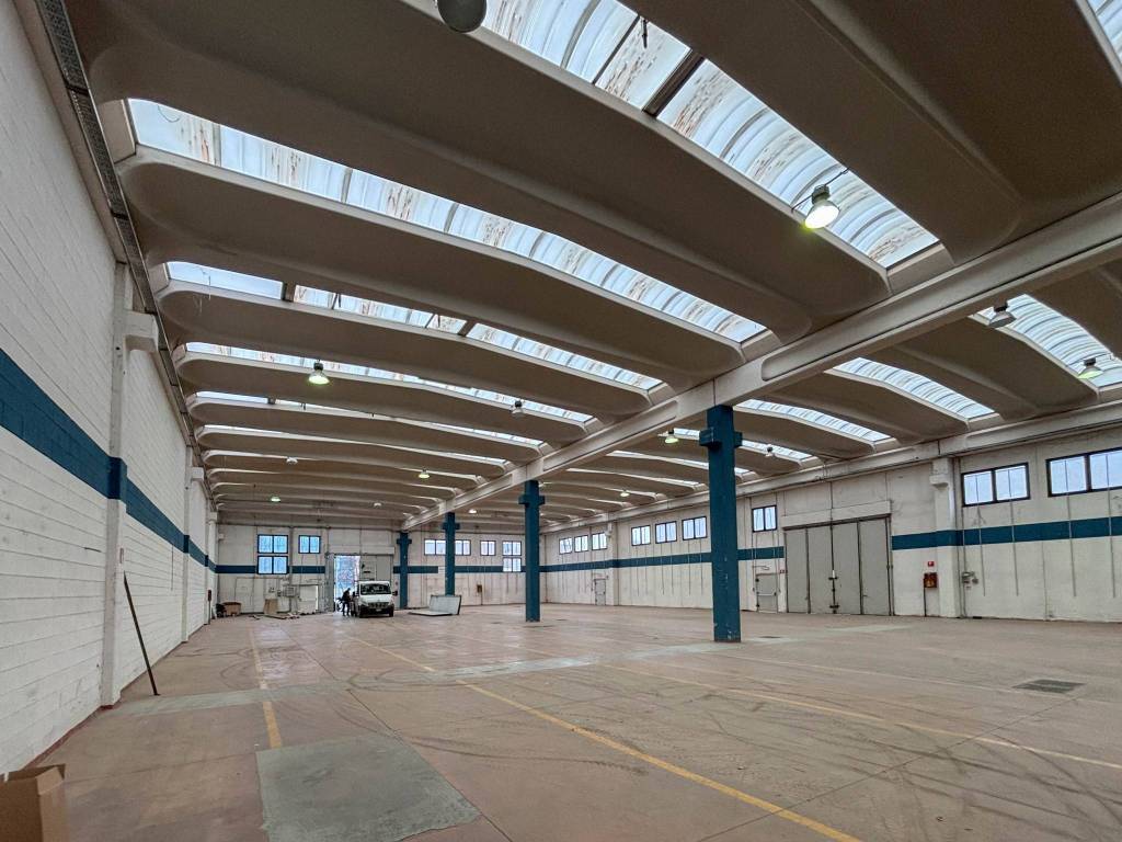 immagine annuncio 6 di 15