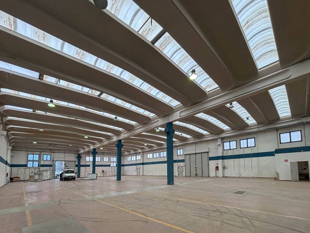 immagine annuncio 7 di 15