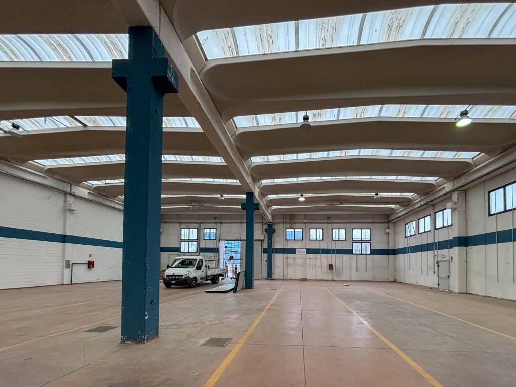 immagine annuncio 8 di 15