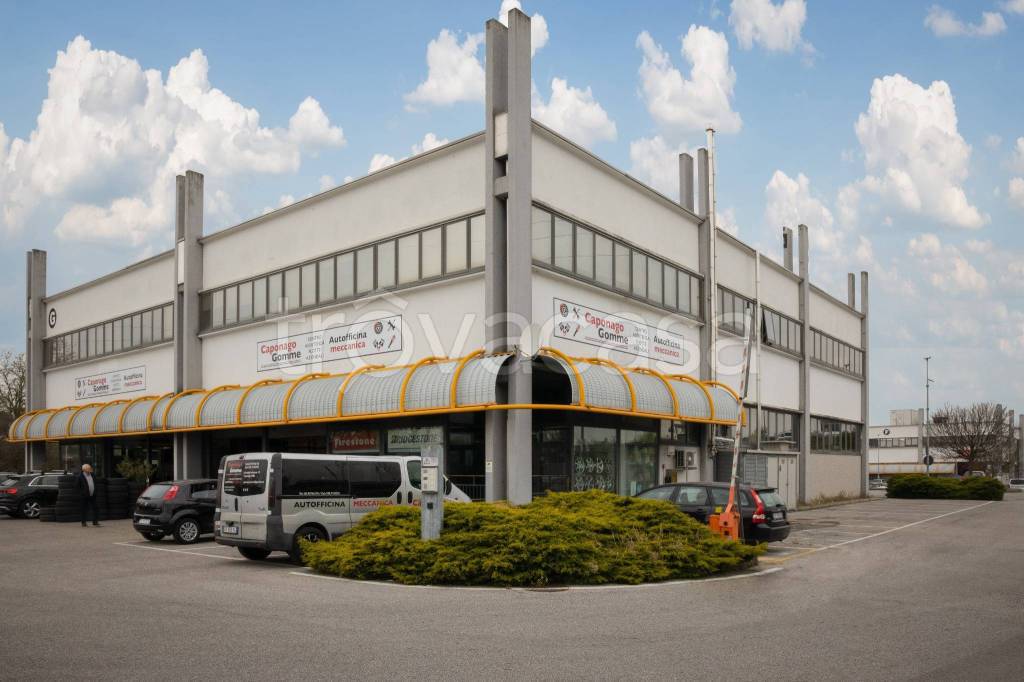 immagine annuncio 3 di 15