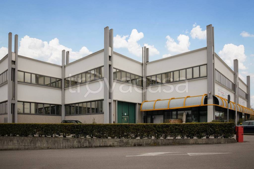 immagine annuncio 8 di 15