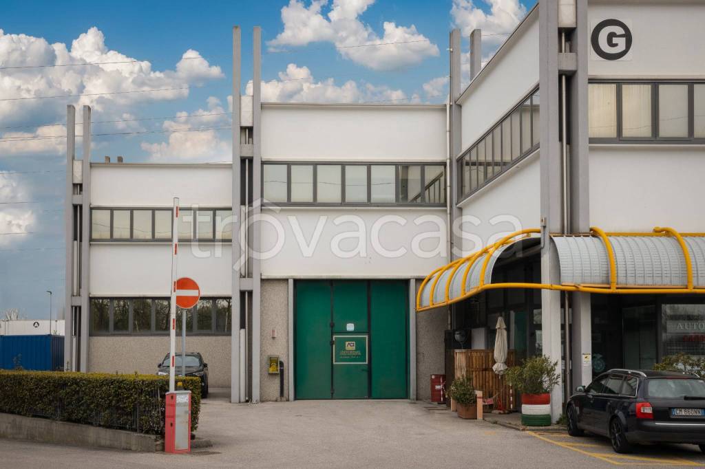 immagine annuncio 9 di 15