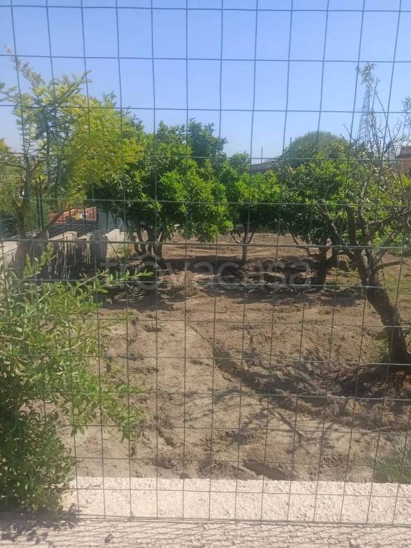 immagine annuncio 5 di 6