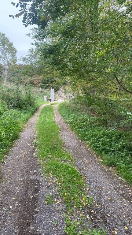 immagine annuncio 2 di 3