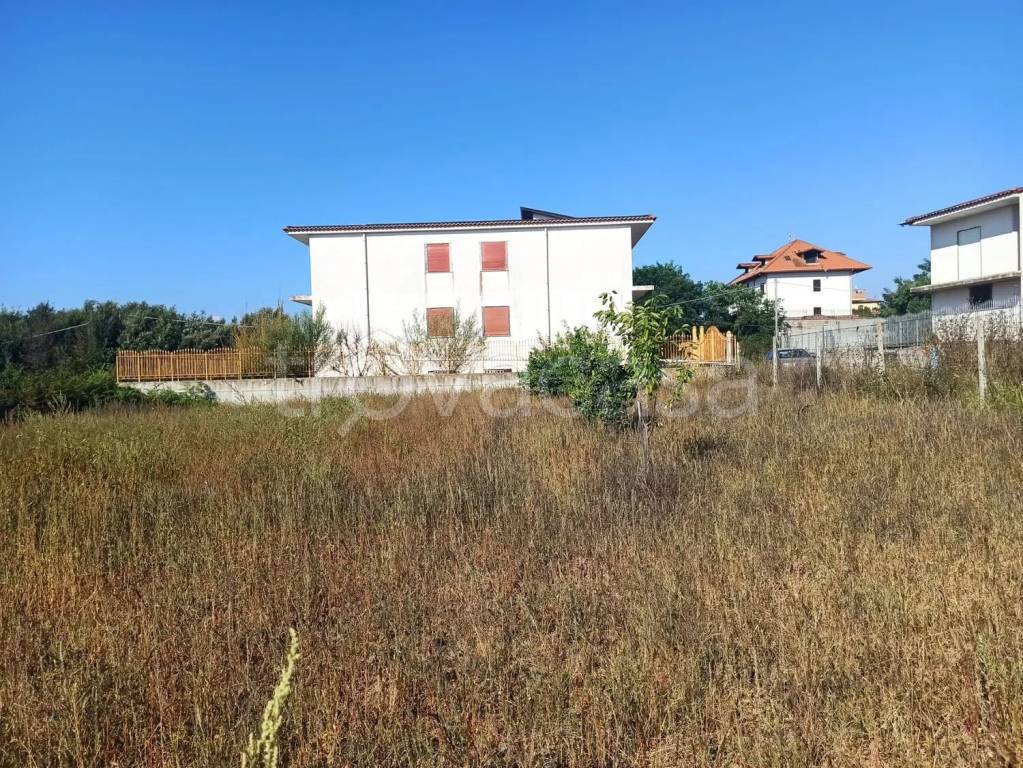 immagine annuncio 2 di 7