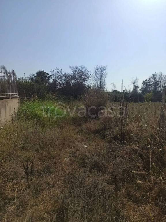 immagine annuncio 4 di 7