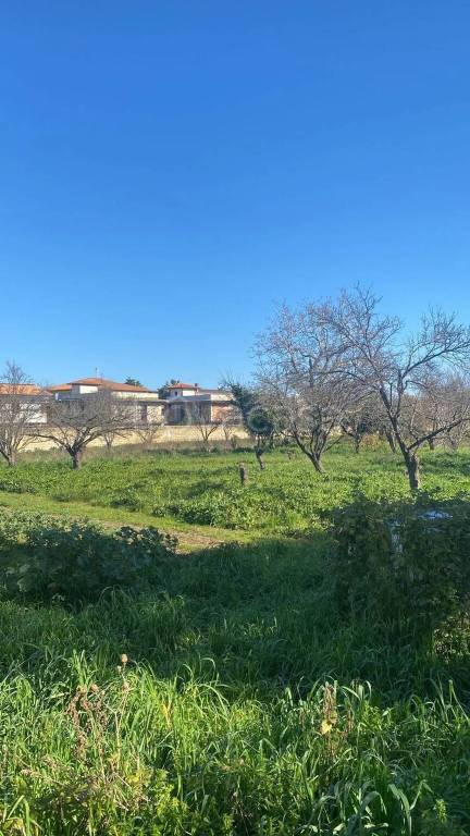 immagine annuncio 2 di 6