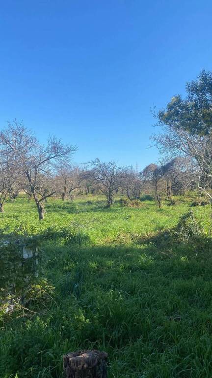 immagine annuncio 4 di 6