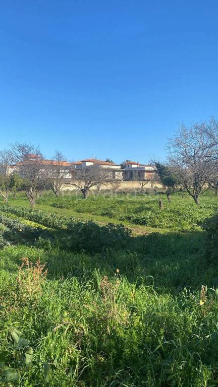 immagine annuncio 5 di 6