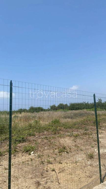 immagine annuncio 4 di 8