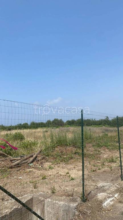 immagine annuncio 5 di 8