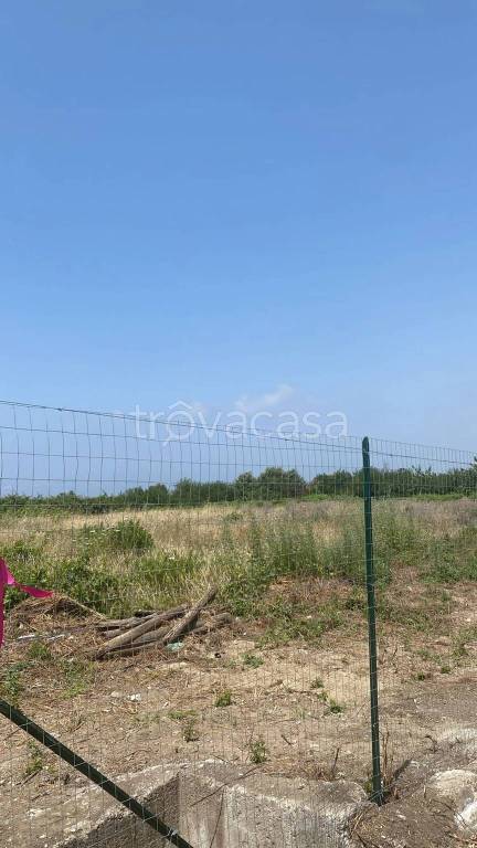 immagine annuncio 6 di 8