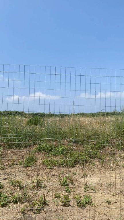 immagine annuncio 7 di 8