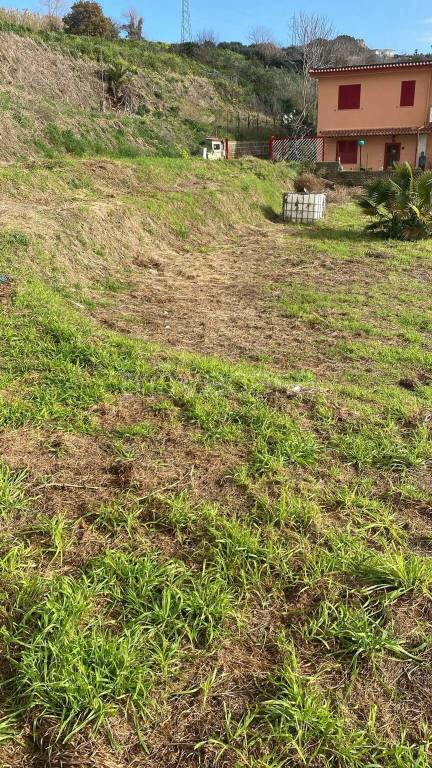 immagine annuncio 5 di 8