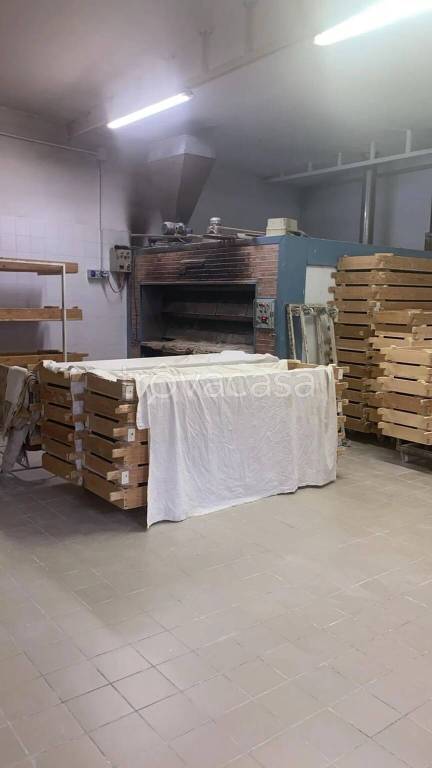 immagine annuncio 5 di 9