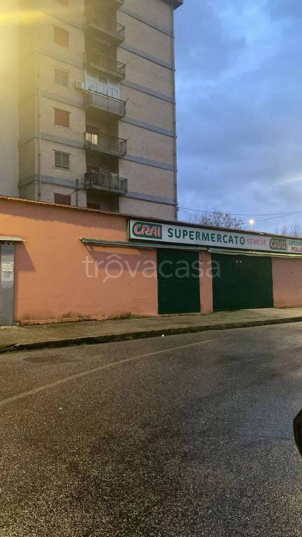 immagine annuncio 1 di 4