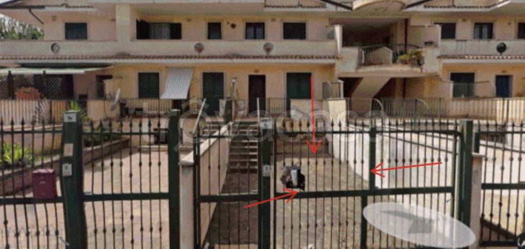 immagine annuncio 12 di 13