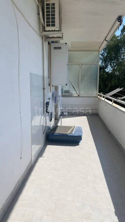 immagine annuncio 12 di 14