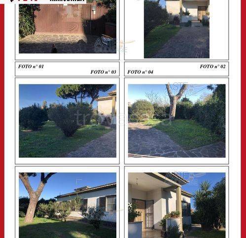 immagine annuncio 2 di 6