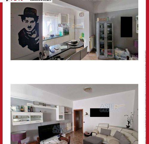 immagine annuncio 3 di 14