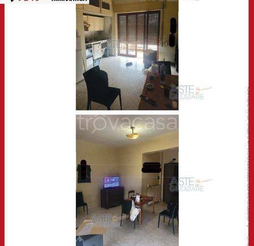 immagine annuncio 3 di 8