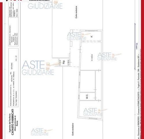 immagine annuncio 12 di 14