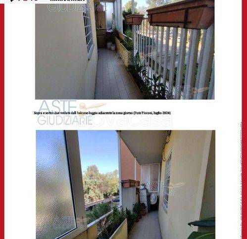 immagine annuncio 7 di 13