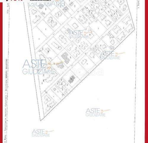 immagine annuncio 4 di 7