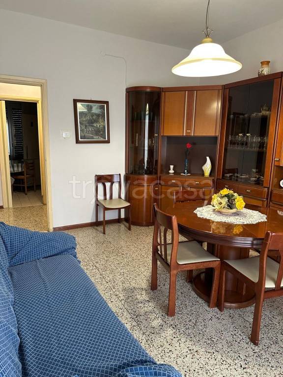 immagine annuncio 7 di 12