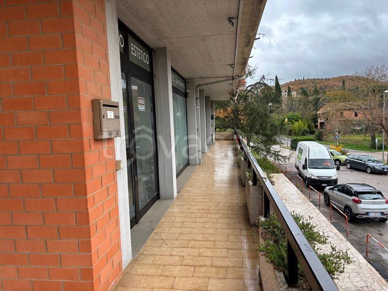 immagine annuncio 5 di 7