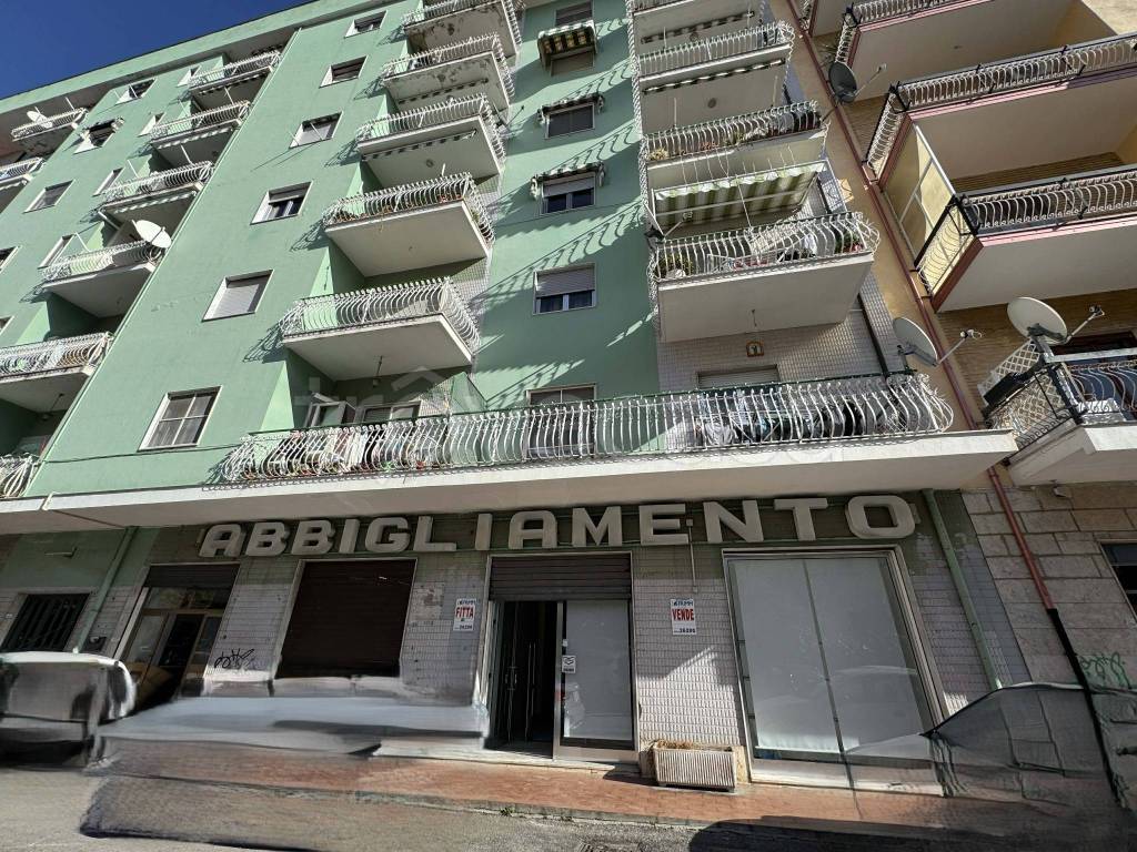 immagine annuncio 3 di 10