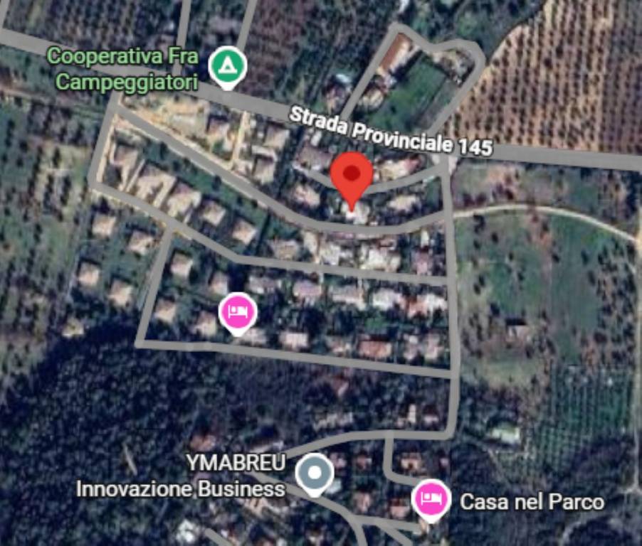 immagine annuncio 9 di 12